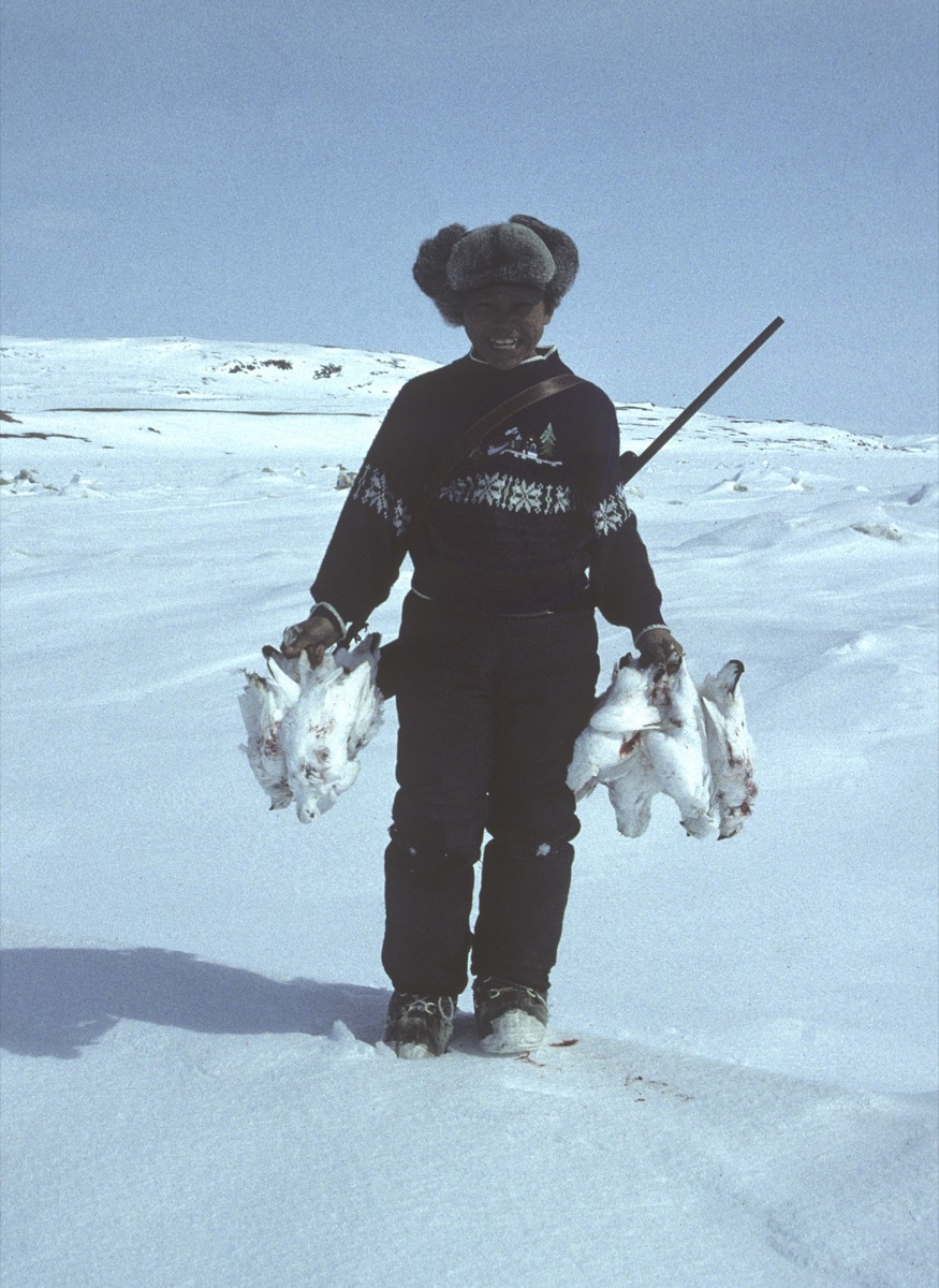 7. Ptarmigan Hunting The Nick Newbery Photo Collection
