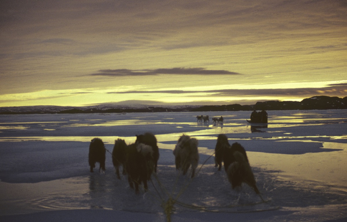 3. Qaummaarviit Dogteams ᑖᓐᓇ ᓂᒃ ᓂᐅᐳᕆᑉ ᐊᔾᔨᙳᐊᓂᒃ ᑲᑎᖅᓱᐃᓂᖓ