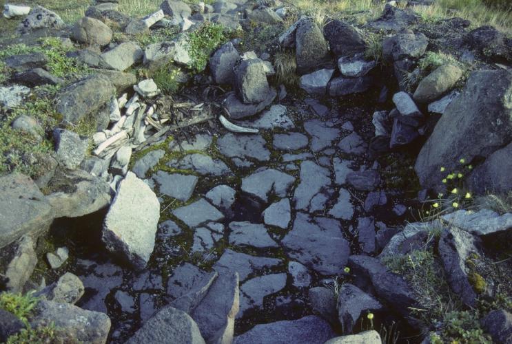 19. Skraeling Island The Nick Newbery Photo Collection